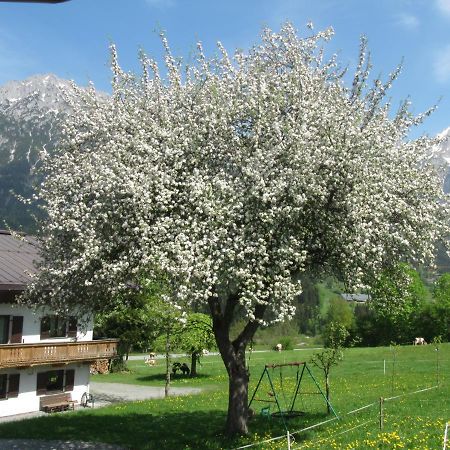 Bauernhof Neu-Endfelden, Guenter Widauer Βίλα Söll Εξωτερικό φωτογραφία
