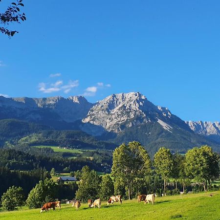 Bauernhof Neu-Endfelden, Guenter Widauer Βίλα Söll Εξωτερικό φωτογραφία