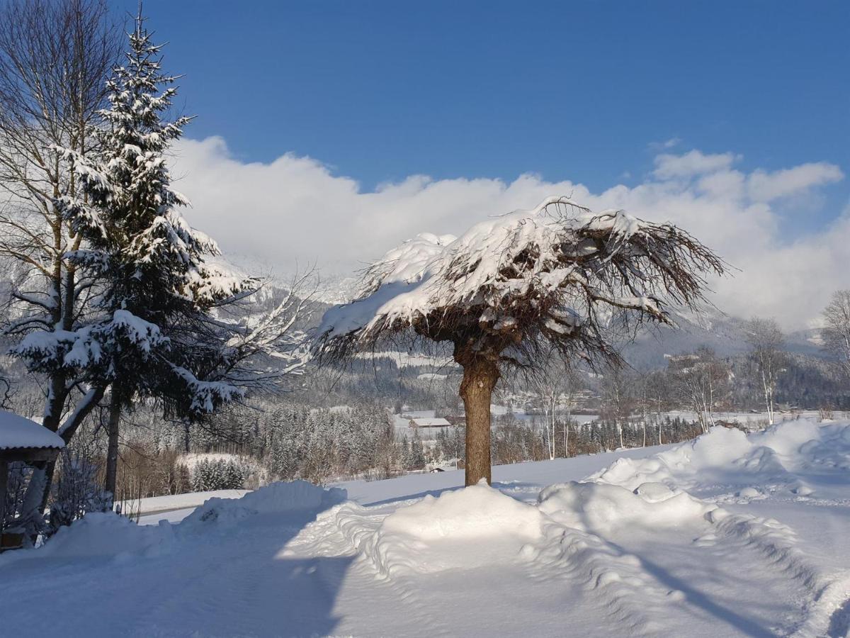 Bauernhof Neu-Endfelden, Guenter Widauer Βίλα Söll Εξωτερικό φωτογραφία