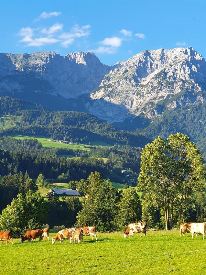 Bauernhof Neu-Endfelden, Guenter Widauer Βίλα Söll Εξωτερικό φωτογραφία